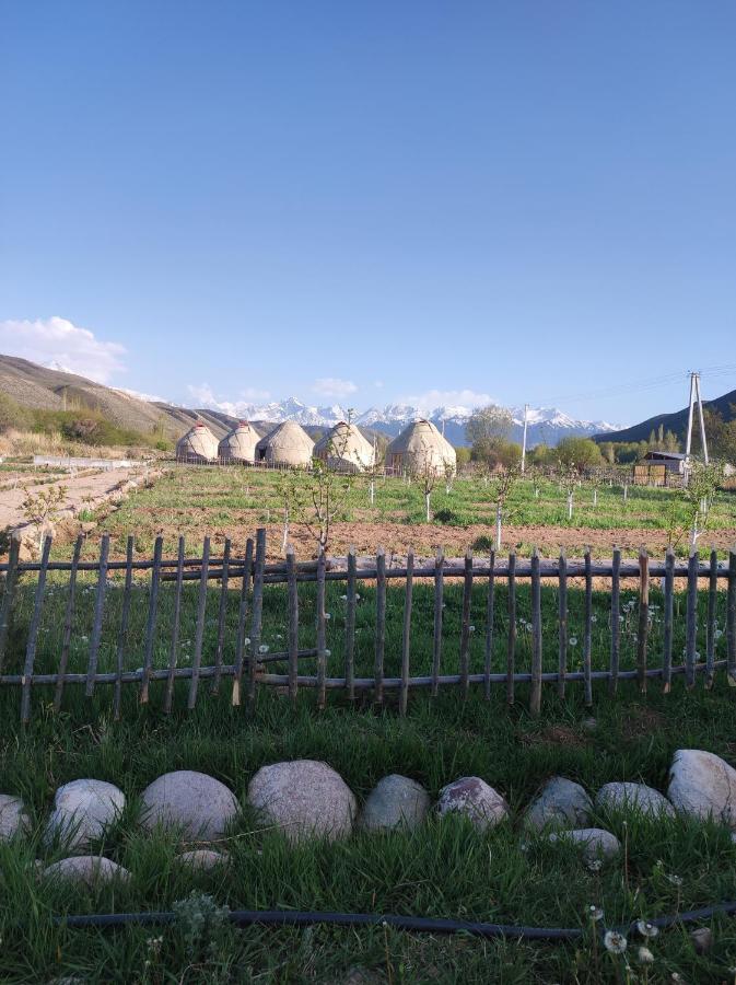 Eco Village Lodge Dzhetyoguz ภายนอก รูปภาพ